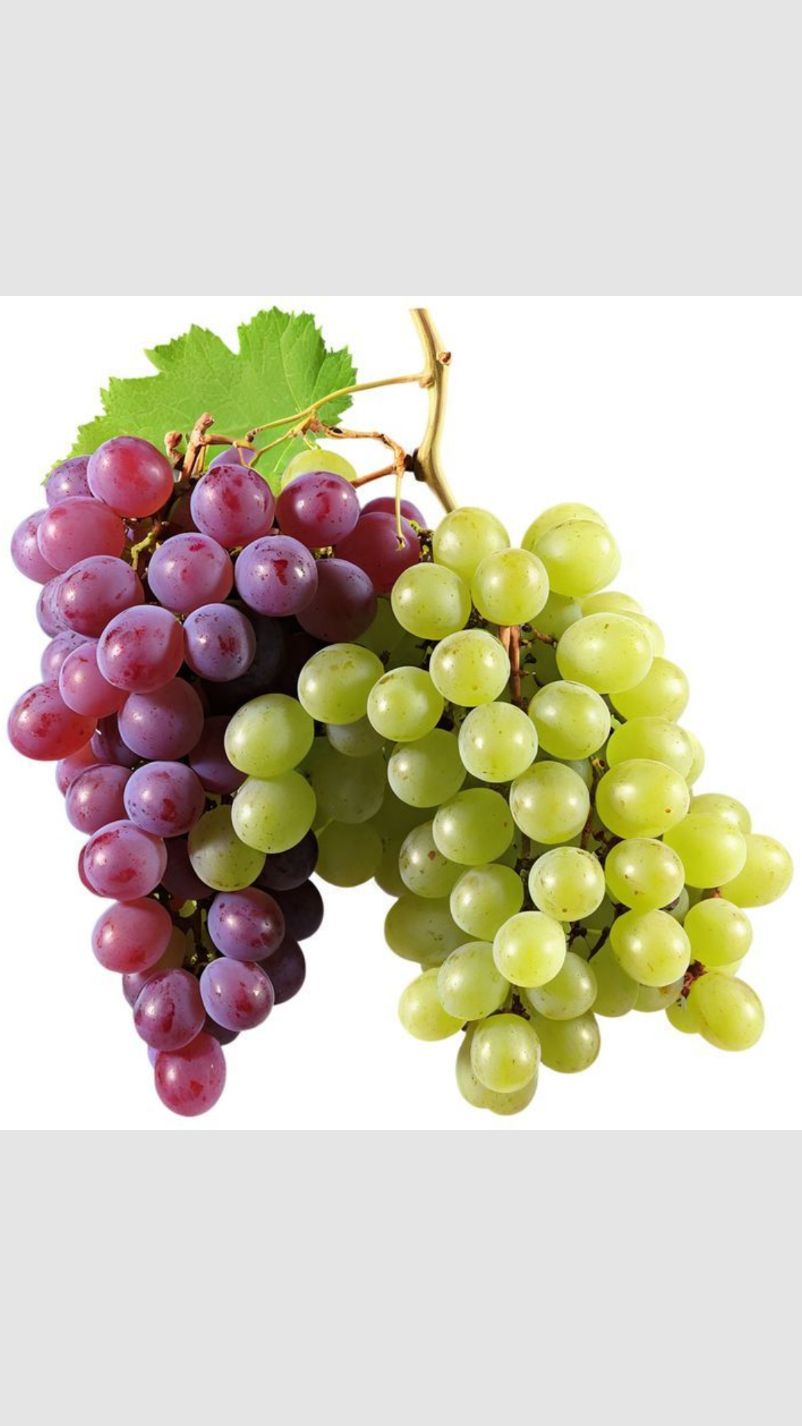 berries & grapes berries & grapes