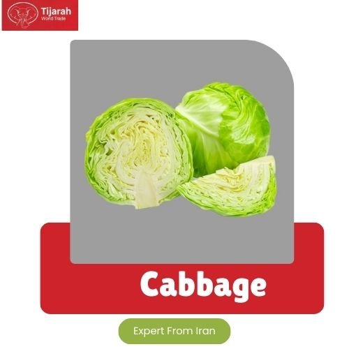 cabbage img