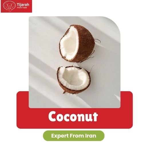 Home coconut 2img