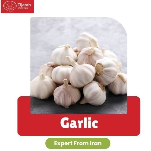 Home garlic mimg