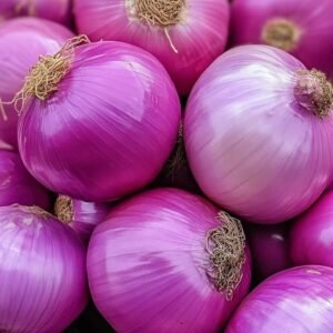 Onion