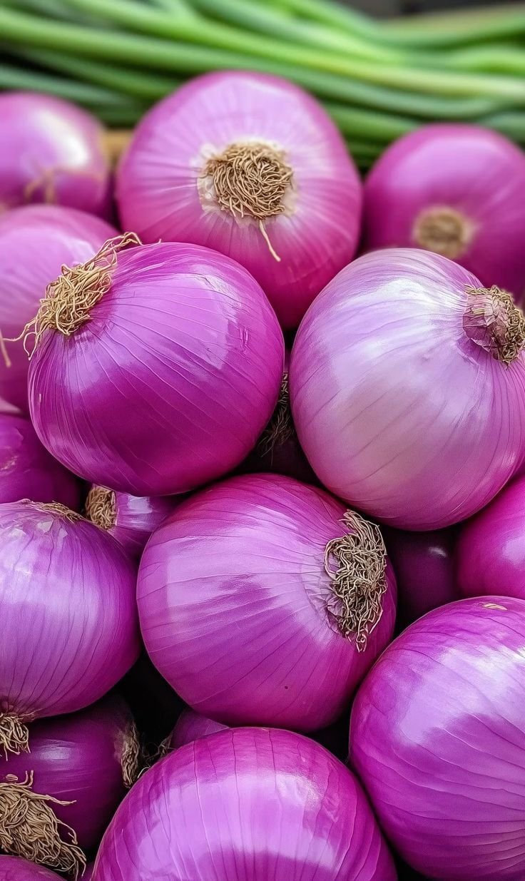 oniion Onion