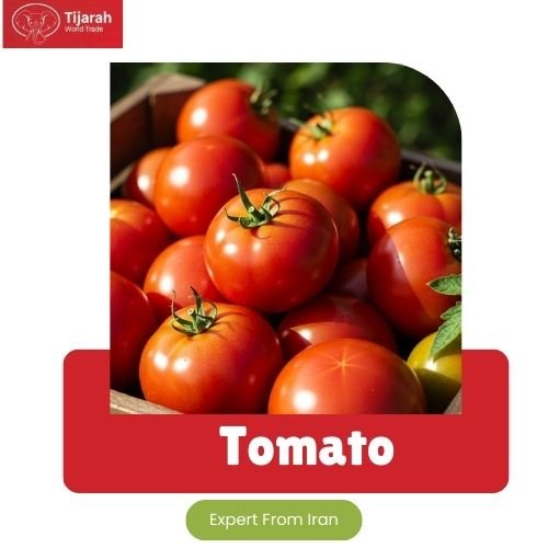 tomato img 1